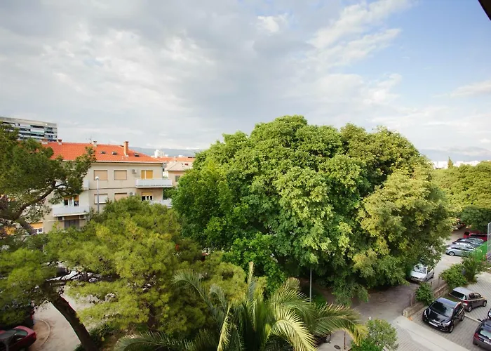 Marin-late Check In Available Split